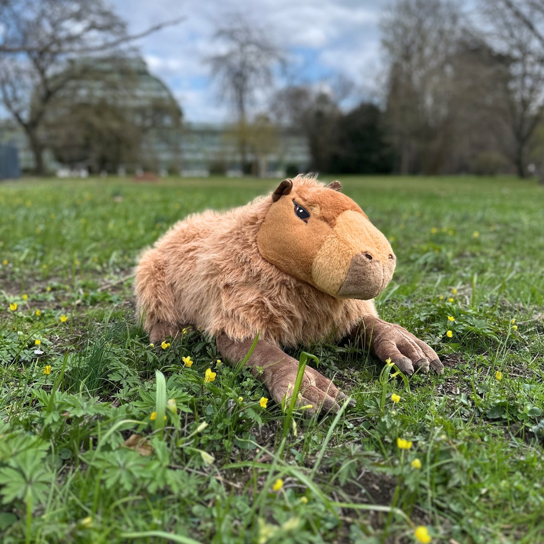 Wasserschwein / Capybara 76 cm