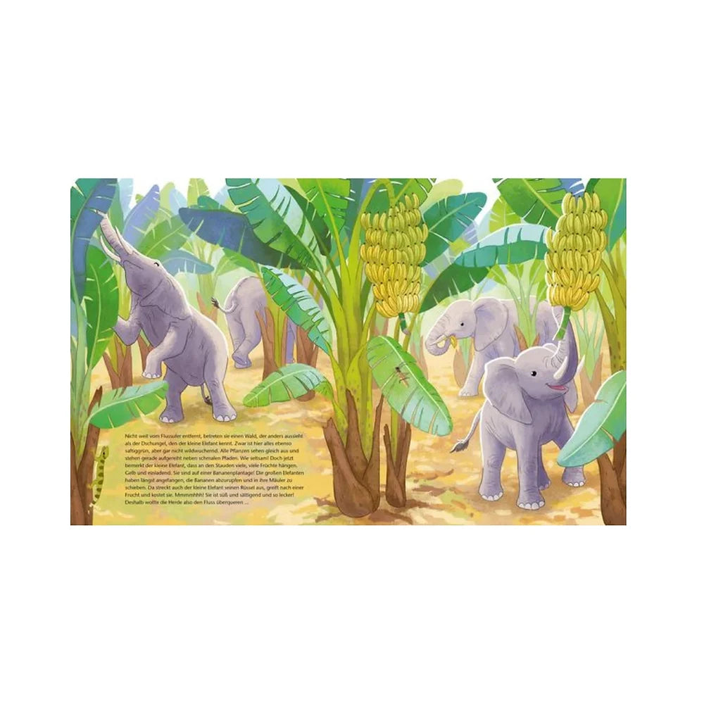 Der kleine Waldelefant - Zu Hause in Afrika - Buch (4+Jahre)