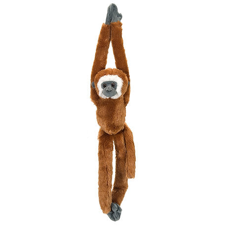 Gibbon