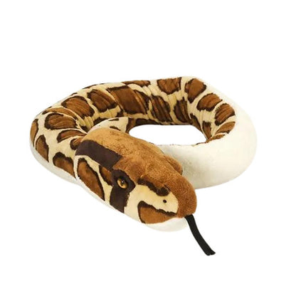 Tigerpython Schlange /  Burmese Python