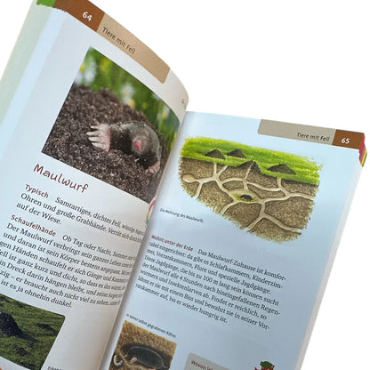Der große Naturführer für Kinder - Tiere und Pflanzen - Buch (4+ Jahre)