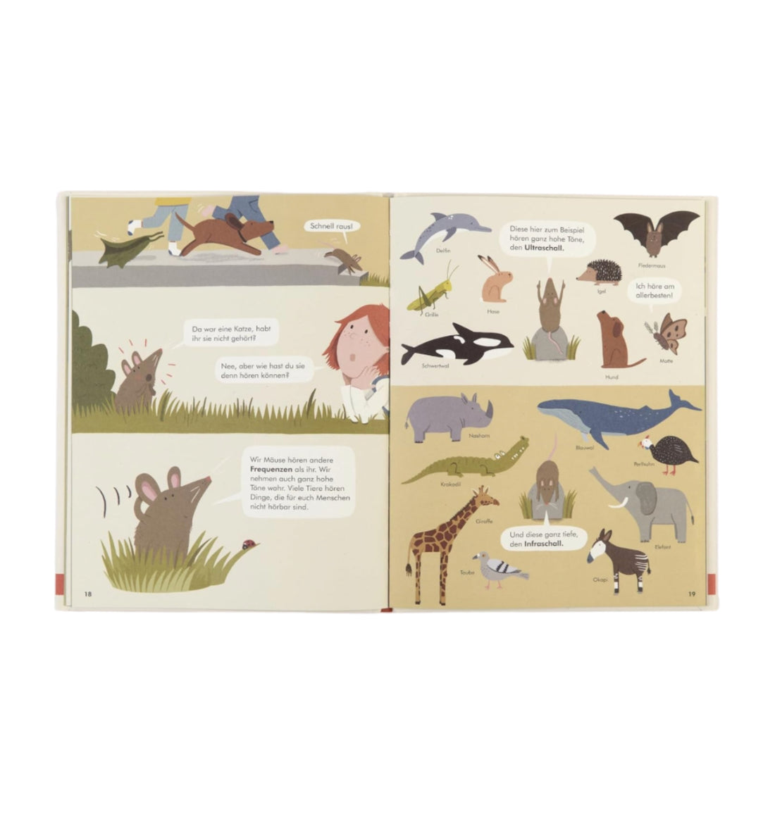 Mit tierisch guten Sinnen: Das Leben da draußen - Buch (4+ Jahre)