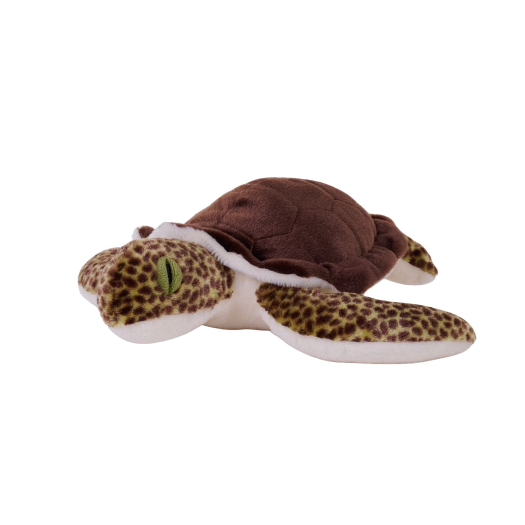 Meeresschildkröte 30 cm