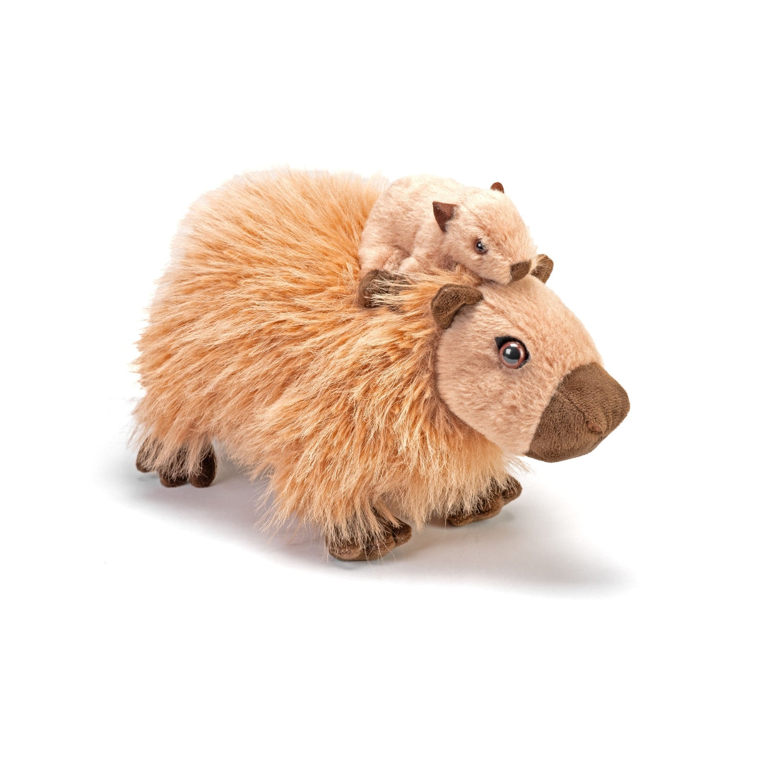Wasserschwein / Capybara mit Baby