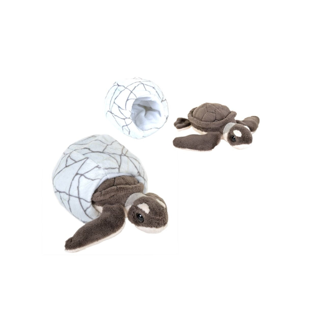 Schildkröte Baby 18 cm