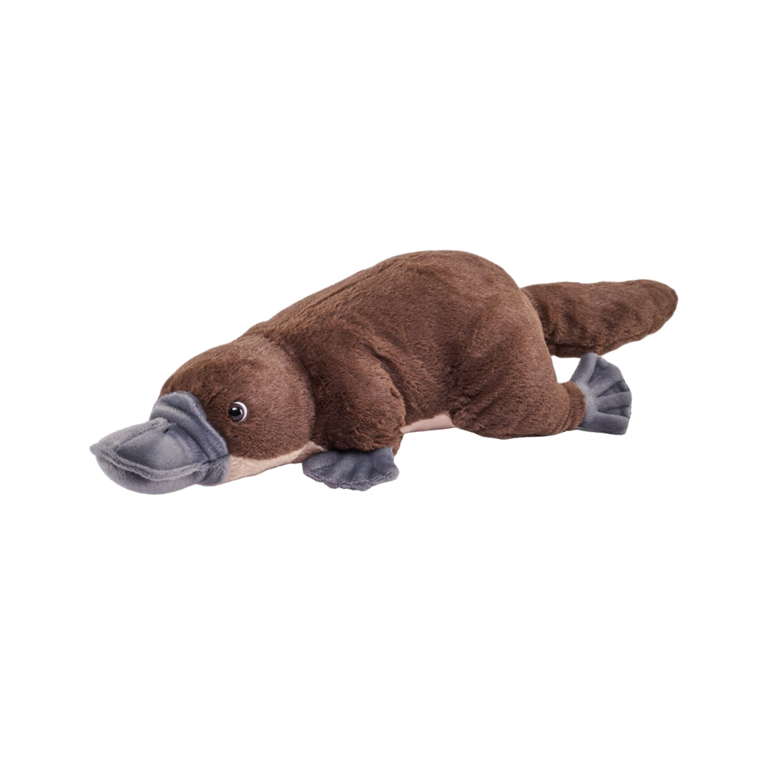 Schnabeltier / Platypus 30 cm